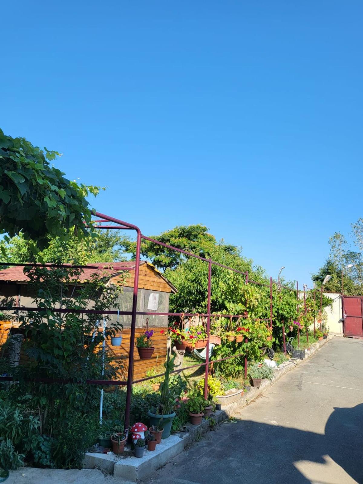 Vila Hipo Vénus Extérieur photo